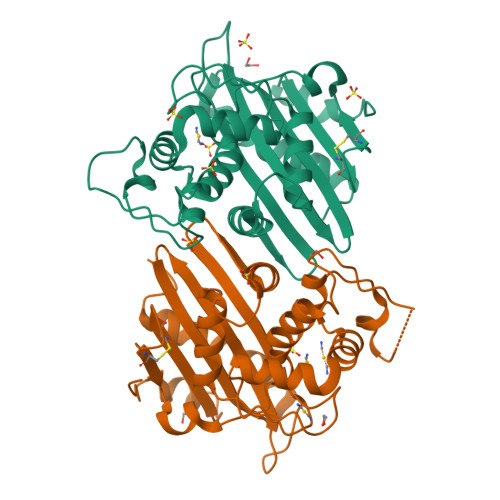 Rcsb Pdb 1e3u Mad Structure Of Oxa10 Class D Beta Lactamase