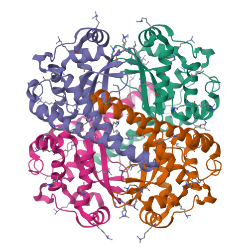 Rcsb Pdb 4e4e Crystal Structure Of The Y34f Mutant Of Saccharomyces Cerevisiae Manganese Superoxide Dismutase