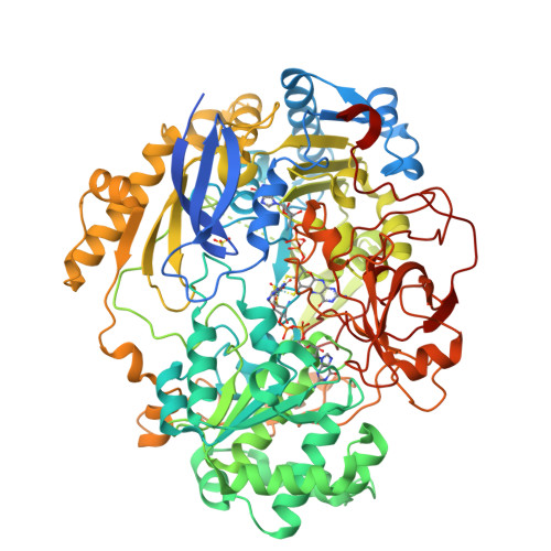 Rcsb Pdb 1e5v Oxidized Dmso Reductase Exposed To Hepes Buffer