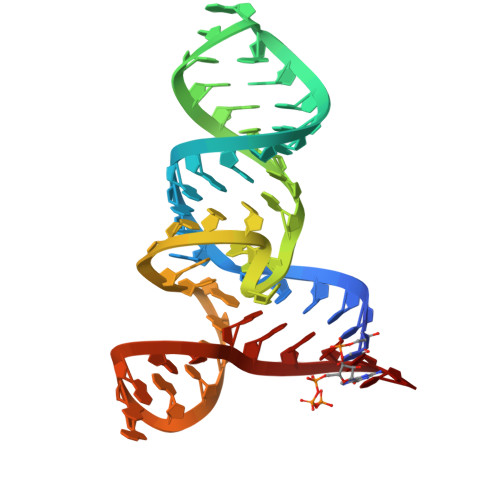 Rcsb Pdb 3e5c Crystal Structure Of The Smk Box Sam Iii Riboswitch With Sam