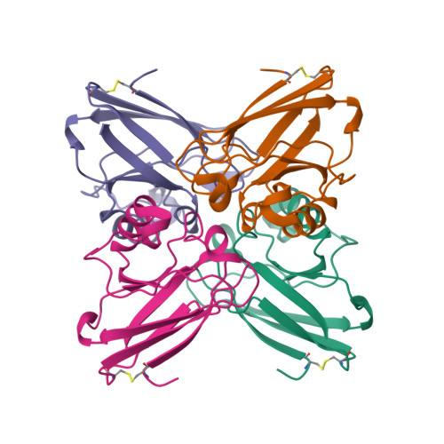 Rcsb Pdb 1e65 Azurin From Pseudomonas Aeruginosa Apo Form