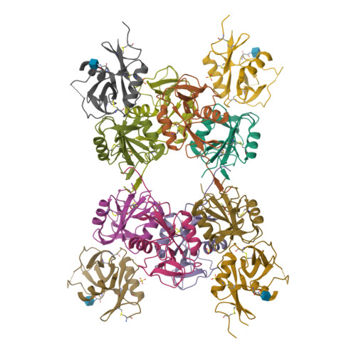 Rcsb Pdb 6e7d Structure Of The Inhibitory Nkr P1b Receptor Bound To The Host Encoded Ligand Clr B