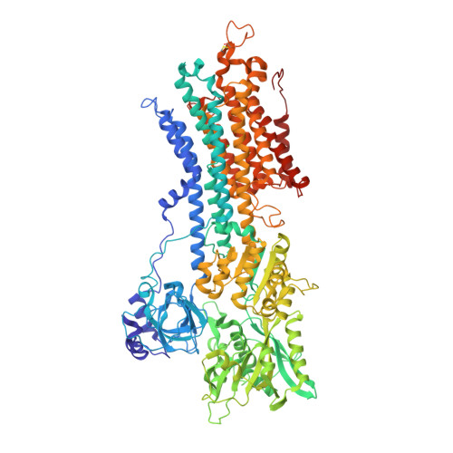 ATP2A2 image
