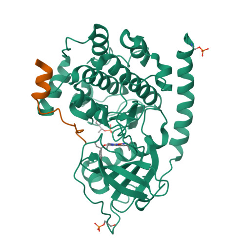 Rcsb Pdb 3e8e Crystal Structures Of The Kinase Domain Of Pka In Complex With Atp Competitive Inhibitors