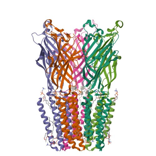 Rcsb Pdb 3eam An Open Pore Structure Of A Bacterial Pentameric Ligand Gated Ion Channel