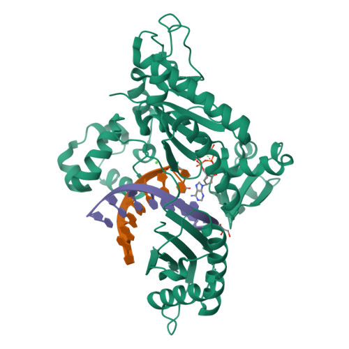 rcsb pdb