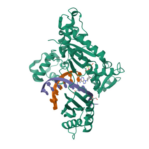 rcsb pdb