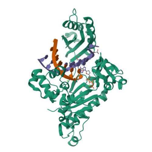 rcsb pdb