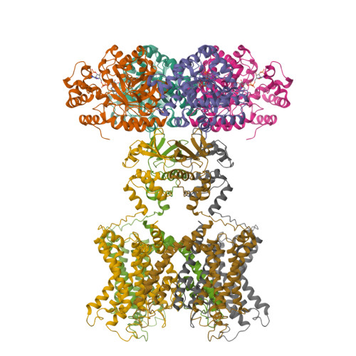 Rcsb Pdb 6ebk The Voltage Activated Kv1 2 2 1 Paddle Chimera Channel In Lipid Nanodiscs