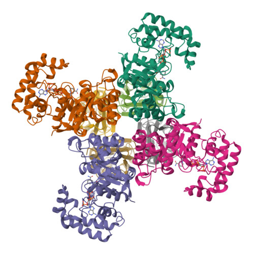 Rcsb Pdb 6ebl The Voltage Activated Kv1 2 2 1 Paddle Chimera Channel In Lipid Nanodiscs Cytosolic Domain