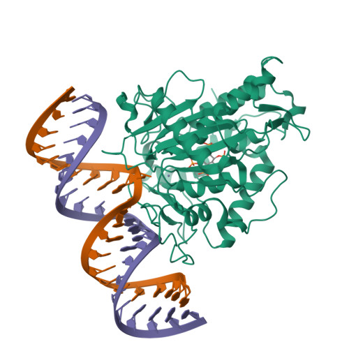 5ED2 assembly