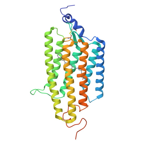 Rcsb Pdb 6edq Crystal Structure Of The Light Gated Anion Channelrhodopsin Gtacr1