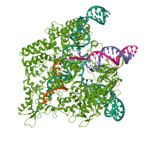 9ED9 assembly