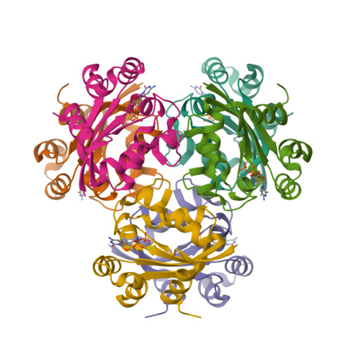 Rcsb Pdb 3ee3 Crystal Structure Of Acanthamoeba Polyphaga Mimivirus Nucleoside Diphosphate Kinase Complexed With Cdp