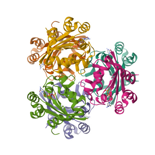 Rcsb Pdb 3ee3 Crystal Structure Of Acanthamoeba Polyphaga Mimivirus Nucleoside Diphosphate Kinase Complexed With Cdp