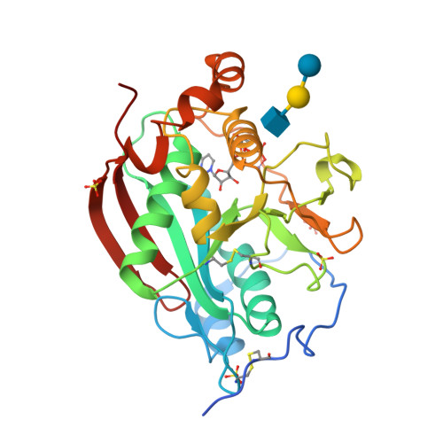 Rcsb Pdb 4ee5 Crystal Structure Of Human M340h Beta 1 4 Galactosyltransferase 1 M340h B4gal T1 In Complex With Trisaccharide From Lacto N Neotetraose