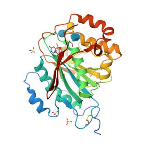Rcsb Pdb 4eea Crystal Structure Of Human M340h Beta 1 4 Galactosyltransferase 1 M340h B4gal T1 In Complex With Glcnac Beta1 6 Gal Beta1 4 Glc Beta