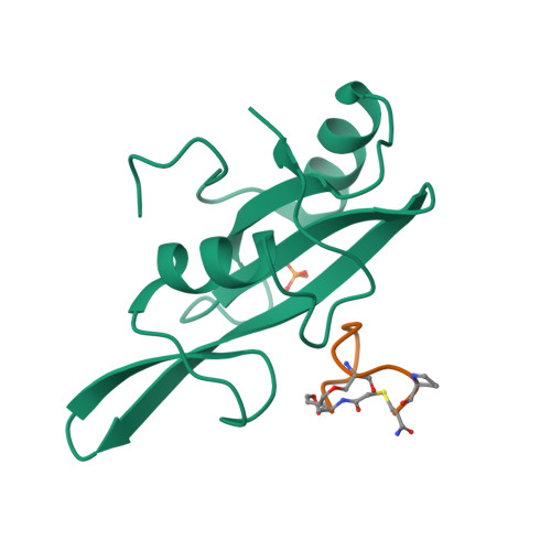 Rcsb Pdb 5eeq Grb7 Sh2 With The G7 B1 Bicyclic Peptide Inhibitor