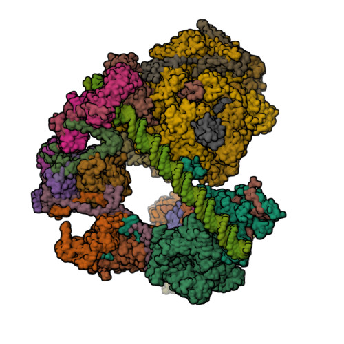 Rcsb Pdb 7eg7 Tfiid Based Core Pic On Scp Promoter