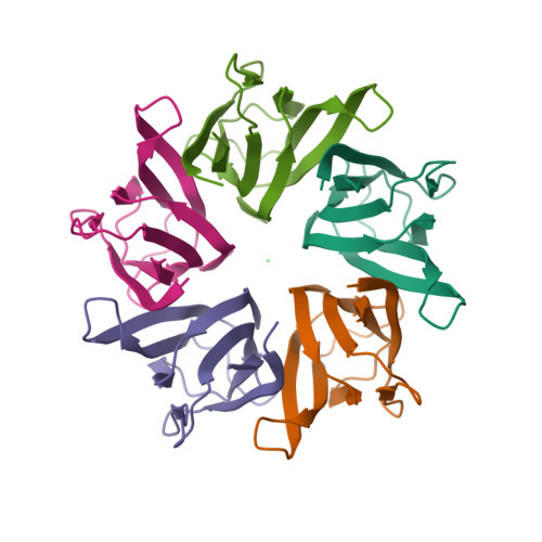 Rcsb Pdb 5ehd Crystal Structure Of Human Nucleophosmin Core In Complex With Cytochrome C