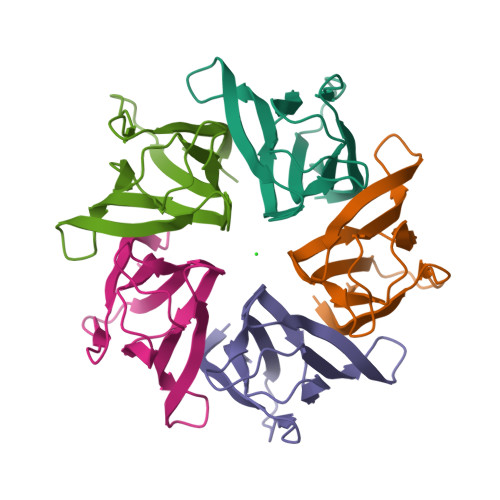 Rcsb Pdb 5ehd Crystal Structure Of Human Nucleophosmin Core In Complex With Cytochrome C