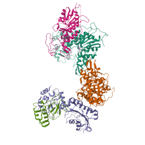 RCSB PDB: Homepage