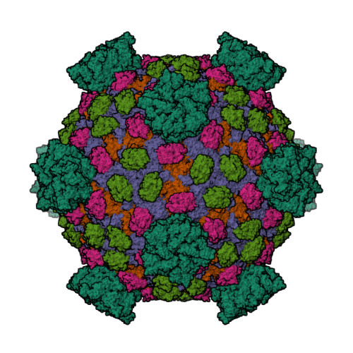 Rcsb Pdb 1ej6 Reovirus Core