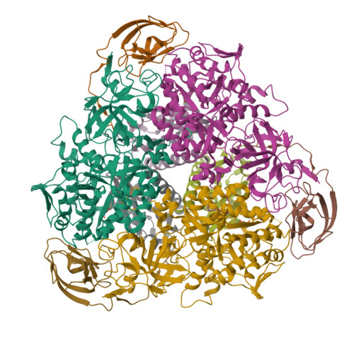 Rcsb Pdb 1ejr Crystal Structure Of The D221a Variant Of Klebsiella Aerogenes Urease