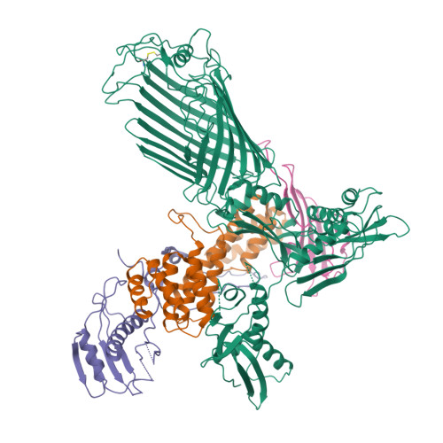 Rcsb Pdb 5ekq The Structure Of The Bamacde Subcomplex From E Coli