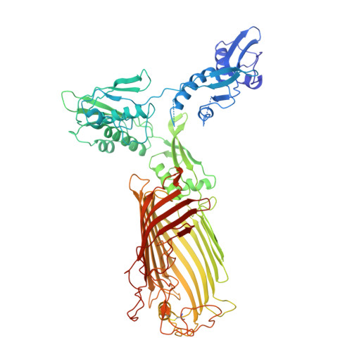 Rcsb Pdb 5ekq The Structure Of The Bamacde Subcomplex From E Coli