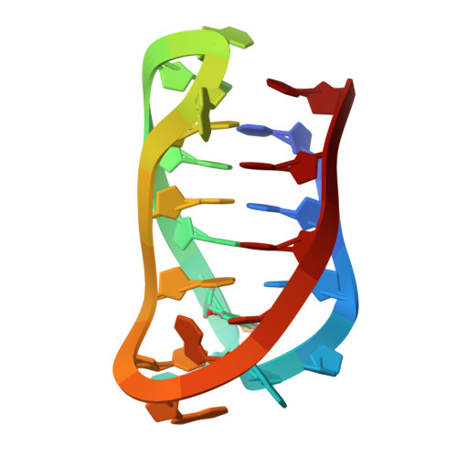 Elastin protein structure