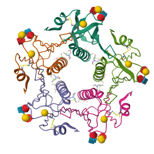 Rcsb Pdb 5elb Cholera Toxin Classical B Pentamer In Complex With Lewis Y