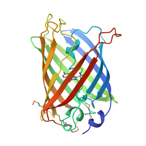 Green Fluorescent Protein protein structure