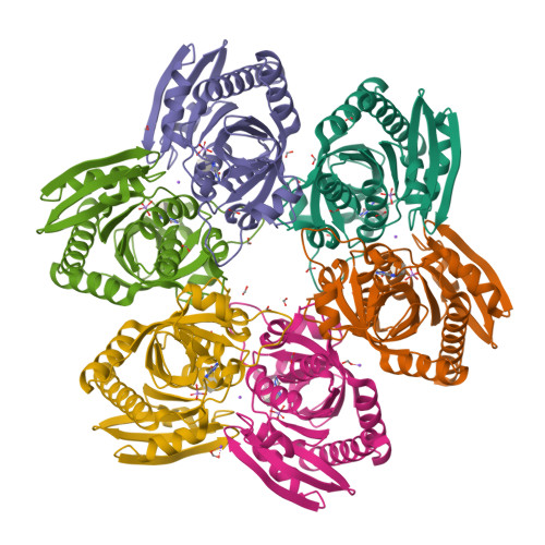 3ENZ logo