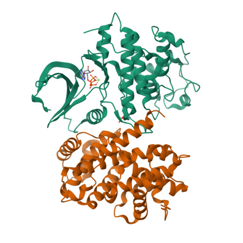 Rcsb Pdb 4eom Thr 160 Phosphorylated Cdk2 H84s Q85m Q131e Human Cyclin A3 Complex With Atp