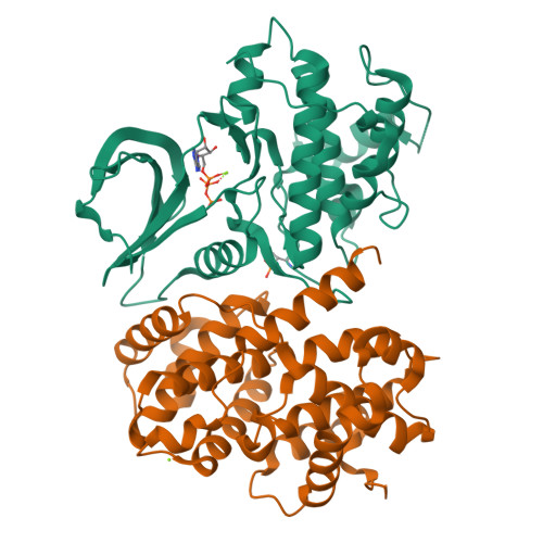 Rcsb Pdb 4eom Thr 160 Phosphorylated Cdk2 H84s Q85m Q131e Human Cyclin A3 Complex With Atp