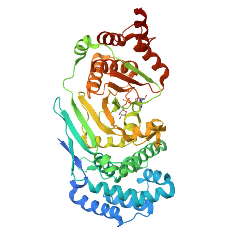 Rcsb Pdb 4epp Canonical Poly Adp Ribose Glycohydrolase From Tetrahymena Thermophila