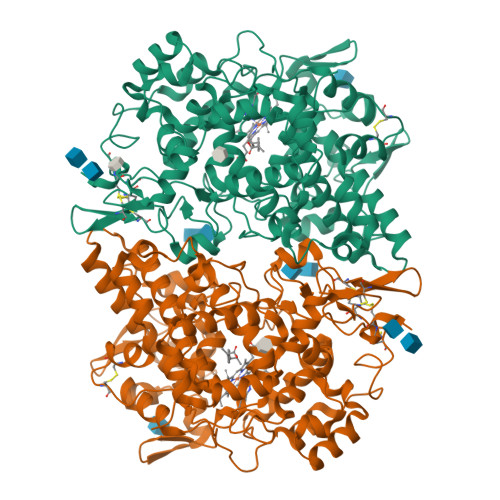 Rcsb Pdb 1eqg The 2 6 Angstrom Model Of Ovine Cox 1 Complexed With Ibuprofen