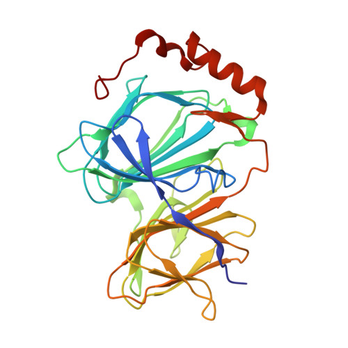Rcsb Pdb 4ero Study On Structure And Function Relationships In Human Pirin With Cobalt Ion