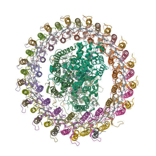 Rcsb Pdb 6et5 Reaction Centre Light Harvesting Complex 1 From Blc Virids