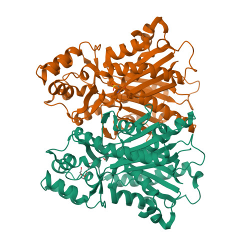 Rcsb Pdb 3euq X Ray Structural Of A Type Iii Pentaketide Synthase From Neurospora Crassa