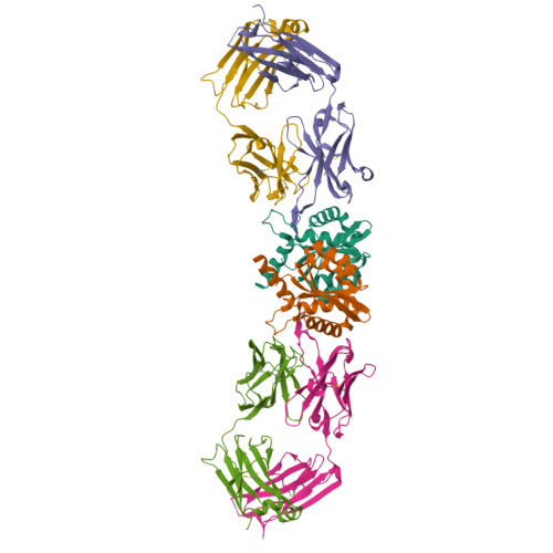 Rcsb Pdb 5eu7 Crystal Structure Of Hiv 1 Integrase Catalytic Core In Complex With Fab