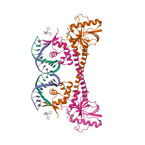 Rcsb Pdb 1exi Crystal Structure Of Transcription Activator Bmrr From B Subtilis Bound To 21 Base Pair Bmr Operator And Tpsb