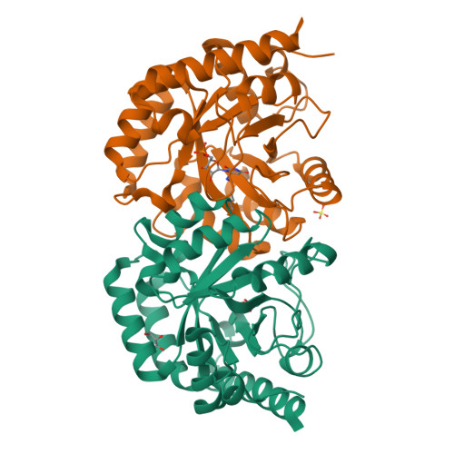 Rcsb Pdb 3ex6 D312n Mutant Of Human Orotidyl 5 Monophosphate Decarboxylase In Complex With 6 Azido Ump Covalent Adduct