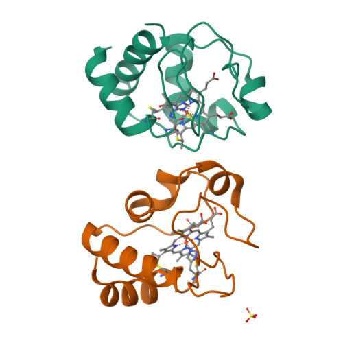 Rcsb Pdb 5exq Human Cytochrome C Y48h