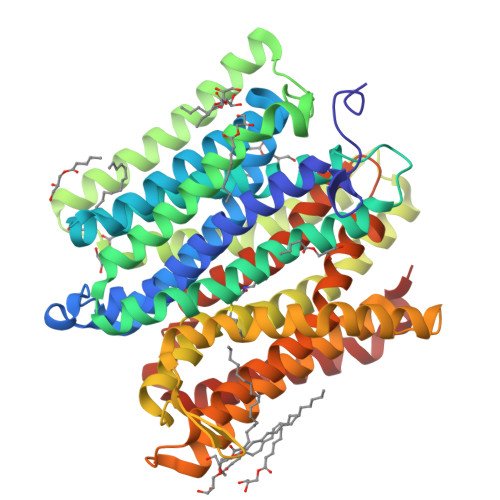 Rcsb Pdb 6exs Crystal Structure Of A Pot Family Transporter In Complex With Thioalcohol Conjugated Peptide