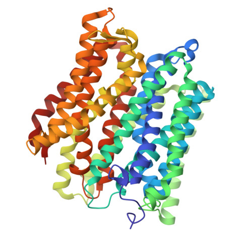 Rcsb Pdb 6exs Crystal Structure Of A Pot Family Transporter In Complex With Thioalcohol Conjugated Peptide