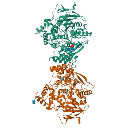 Rcsb Pdb 4ey5 Crystal Structure Of Recombinant Human Acetylcholinesterase In Complex With Huperzine A