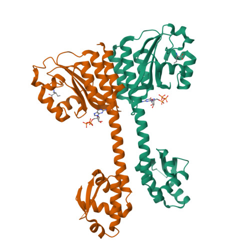 Protein Data Bank: 5EY0