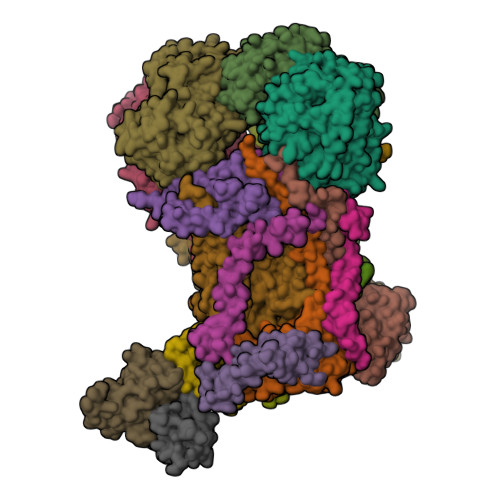 Rcsb Pdb 1ezv Structure Of The Yeast Cytochrome Bc1 Complex Co Crystallized With An Antibody Fv Fragment